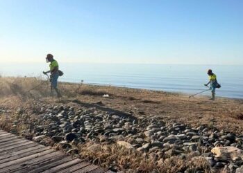 El Ayuntamiento de Estepona desbroza y limpia los más de treinta tramos de corredor litoral