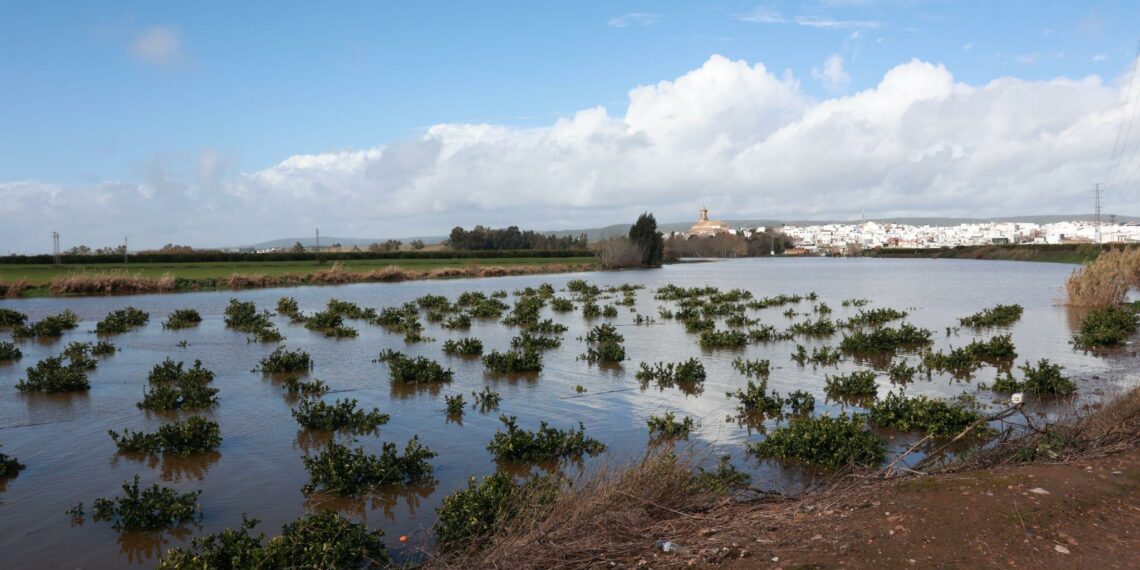 Las ayudas de la Junta para el sector primario afectado por las borrascas están exentas de impuestos