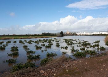 Las ayudas de la Junta para el sector primario afectado por las borrascas están exentas de impuestos