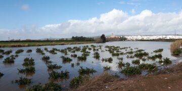 Las ayudas de la Junta para el sector primario afectado por las borrascas están exentas de impuestos