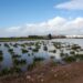 Las ayudas de la Junta para el sector primario afectado por las borrascas están exentas de impuestos