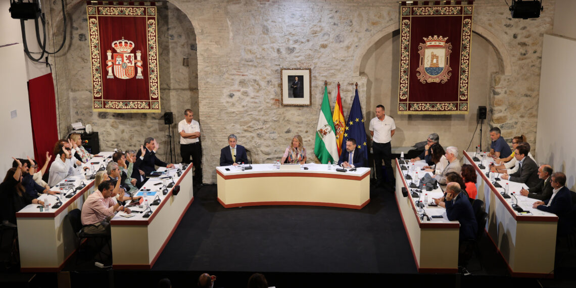 Marbella destinará más de 7 millones del remanente de tesorería a actuaciones para mejorar la seguridad vial, la limpieza y las instalaciones deportivas