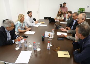 Una nueva normativa permitirá a los hoteles de Marbella seguir modernizando sus instalaciones