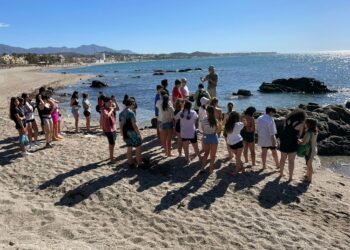 El programa Mijas Reforesta de plantación de árboles y conservación costera, primer Premio Internacional Bandera Azul 2026