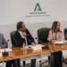 Las primeras concesiones de autobús renovadas de Andalucía entran en servicio en este mes de junio