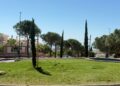 El Plan de Arbolado avanza con nuevas plantaciones de especies autóctonas en distintos puntos del municipio