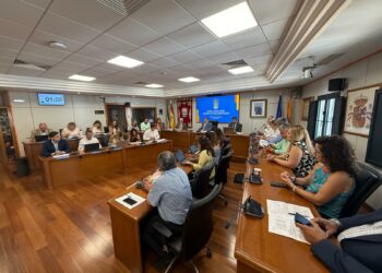 Benalmádena aprueba definitivamente un suplemento de crédito de 15,8 millones para inversiones, servicios y ayudas municipales