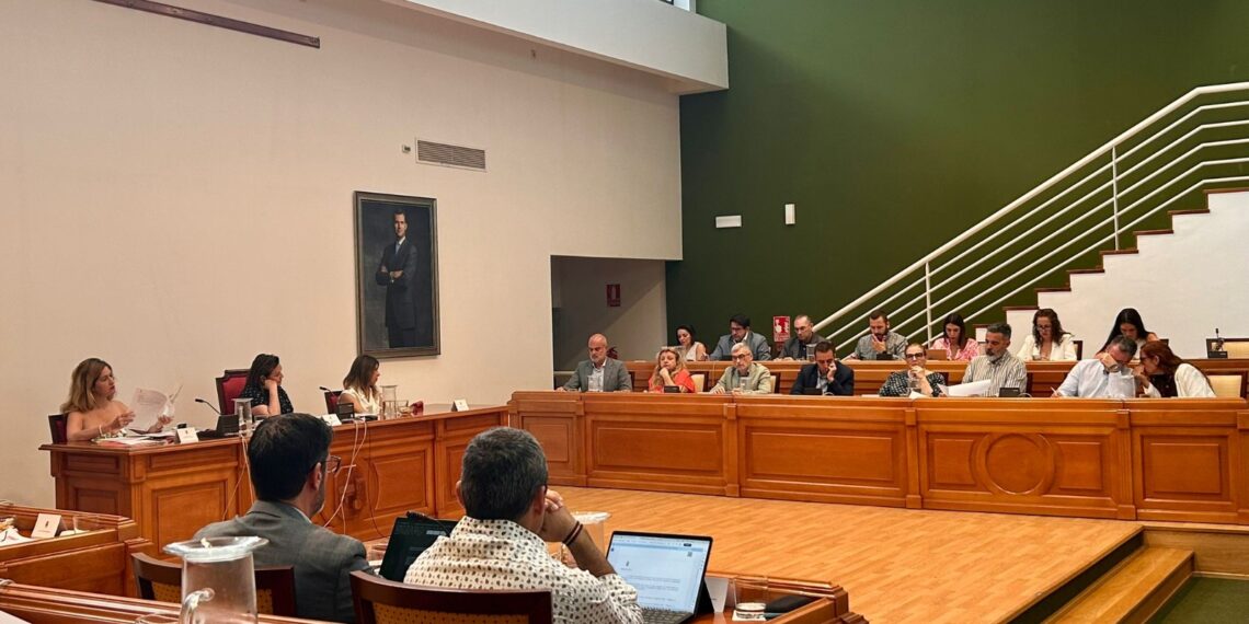 Torremolinos insta al Gobierno Central a tomar medidas para solucionar los retrasos y la saturación de la línea C-1 del Cercanías