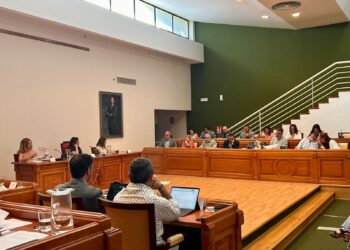 Torremolinos insta al Gobierno Central a tomar medidas para solucionar los retrasos y la saturación de la línea C-1 del Cercanías