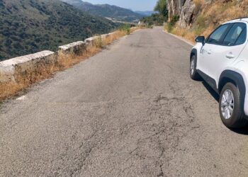 Diputación destinará dos millones de euros para mejorar la señalización horizontal de 99 carreteras