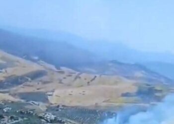 Extinguido el incendio forestal declarado en Antequera