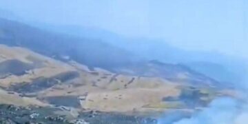 Extinguido el incendio forestal declarado en Antequera