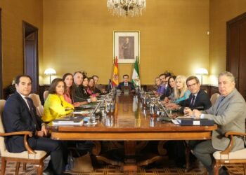 La Junta da luz verde este miércoles a un contrato de 776 millones para atender a 26.328 mayores dependientes