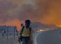 Doce personas fallecidas en el incendio de Los Gallardos en Almería