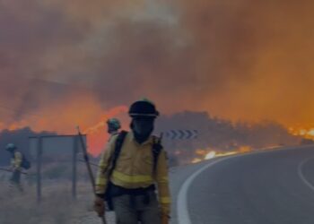 Doce personas fallecidas en el incendio de Los Gallardos en Almería