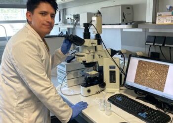 La ciencia andaluza diseña un fluido que almacena energía solar para mejorar la eficiencia energética