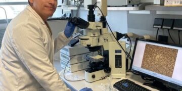 La ciencia andaluza diseña un fluido que almacena energía solar para mejorar la eficiencia energética