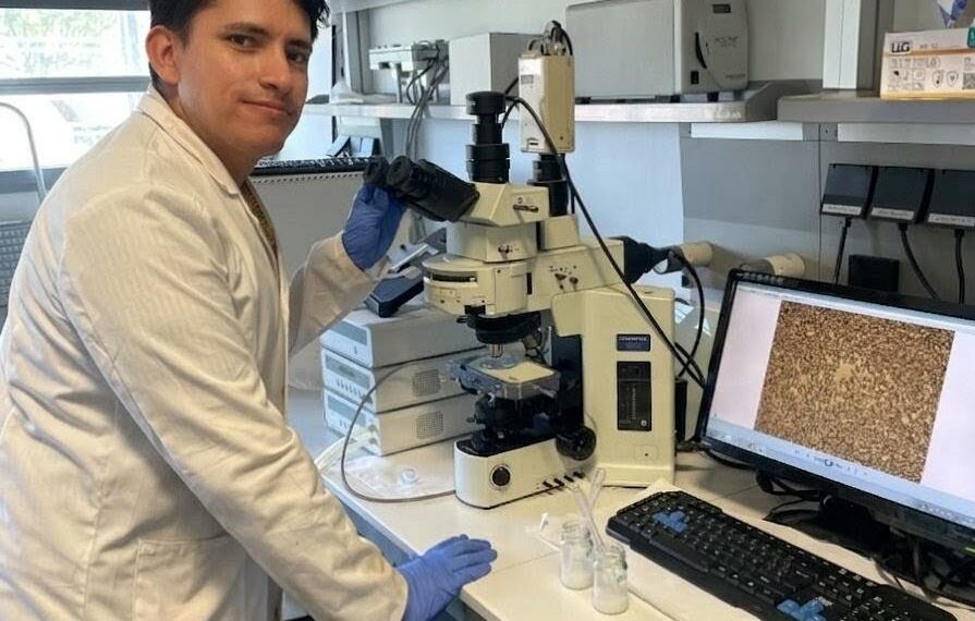 La ciencia andaluza diseña un fluido que almacena energía solar para mejorar la eficiencia energética