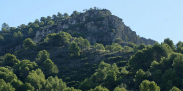 Publicado el primer Registro de Montes Públicos de Andalucía, un riguroso inventario que emana de la aplicación de la LEMA