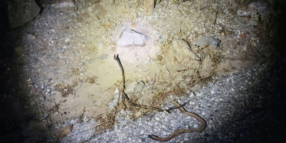 La Policía Local de Benalmádena identifica a los presuntos autores de las reiteradas fogatas en el Monte Calamorro