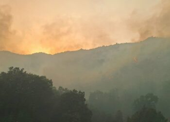 El Consorcio Provincial de Bomberos envía a Ávila un dispositivo de 11 efectivos y cinco vehículos para extinguir el incendio de Burgohondo