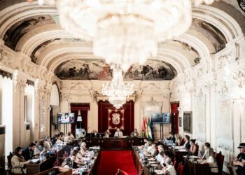 El Pleno de Málaga insta al Gobierno a presentar un calendario y presupuesto para el tren litoral