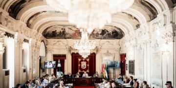 El Pleno de Málaga insta al Gobierno a presentar un calendario y presupuesto para el tren litoral
