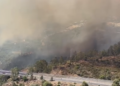 Un incendio forestal obliga a cortar la AP-7 y desalojar viviendas en Estepona y Benahavís