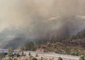 Un incendio forestal obliga a cortar la AP-7 y desalojar viviendas en Estepona y Benahavís