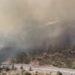 Un incendio forestal obliga a cortar la AP-7 y desalojar viviendas en Estepona y Benahavís