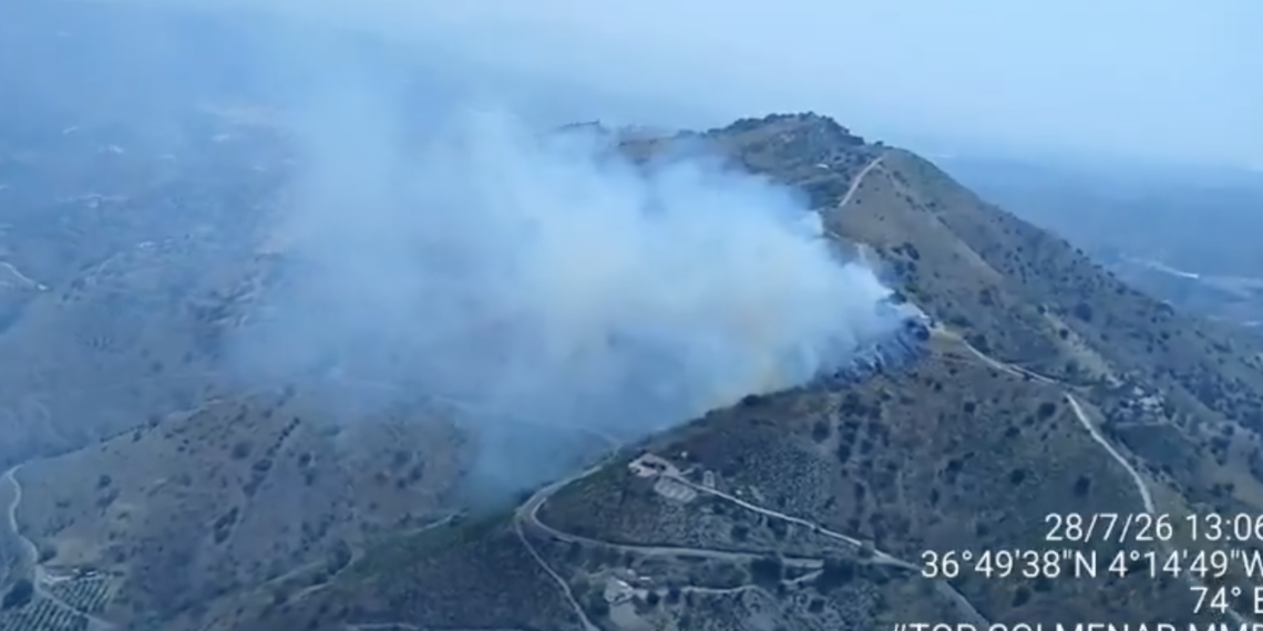 Declarado un incendio forestal en El Borge