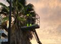 Torremolinos pone en marcha un nuevo modelo de refuerzo para mejorar el mantenimiento de las zonas verdes de toda la ciudad