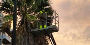 Torremolinos pone en marcha un nuevo modelo de refuerzo para mejorar el mantenimiento de las zonas verdes de toda la ciudad