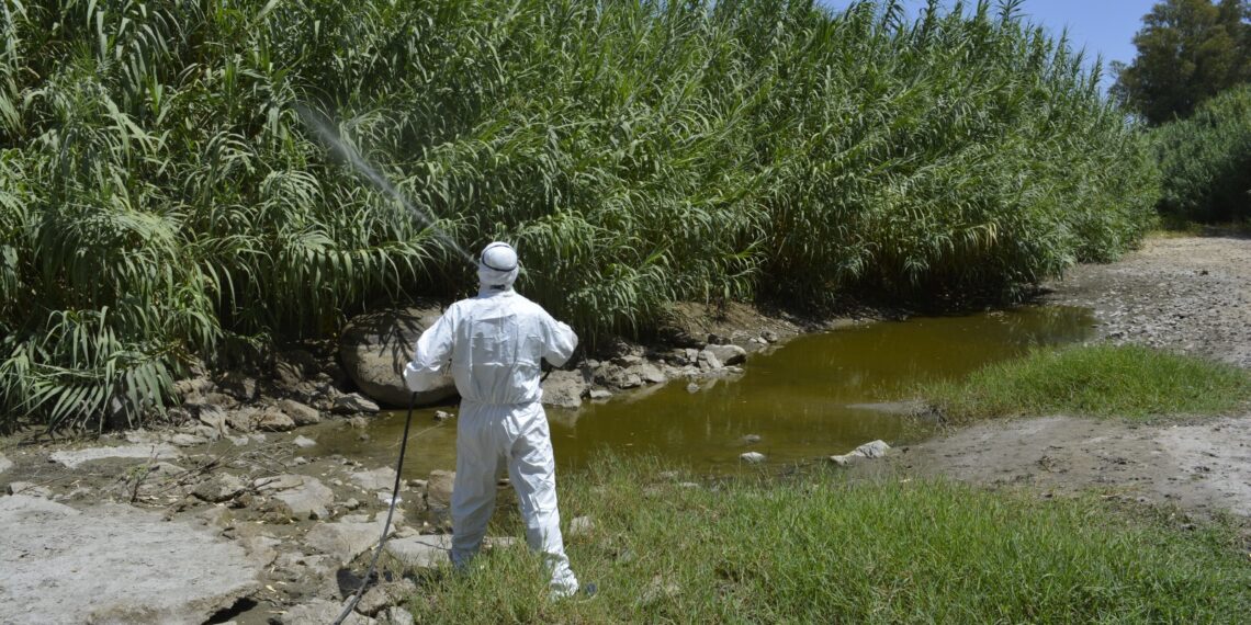 Mijas intensifica su plan de choque preventivo contra el mosquito que puede transmitir el virus del Nilo occidental