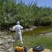 Mijas intensifica su plan de choque preventivo contra el mosquito que puede transmitir el virus del Nilo occidental