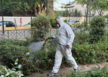 Mijas fumiga los parques Andalucía, El Abuelo y 3 de Abril dentro de la prevención del mosquito del virus del Nilo