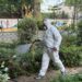 Mijas fumiga los parques Andalucía, El Abuelo y 3 de Abril dentro de la prevención del mosquito del virus del Nilo