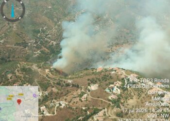 Elevan a fase de emergencia situación operativa 1 el incendio forestal registrado en Árchez