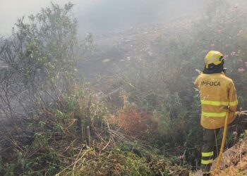 Dos autobombas continúan las labores de extinción en el incendio forestal de Benahavís