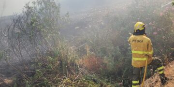 Dos autobombas continúan las labores de extinción en el incendio forestal de Benahavís