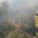 Dos autobombas continúan las labores de extinción en el incendio forestal de Benahavís