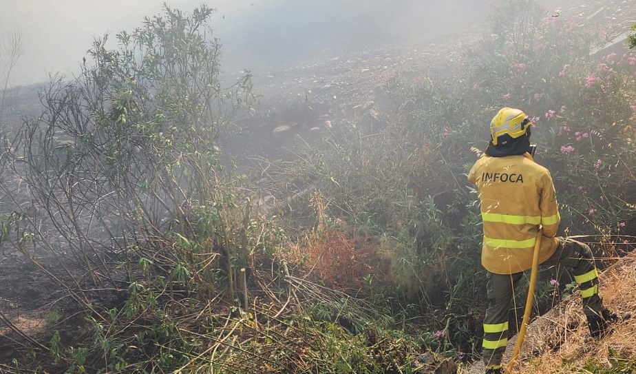 Dos autobombas continúan las labores de extinción en el incendio forestal de Benahavís