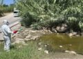 Mijas y Fuengirola refuerzan las fumigaciones tras detectarse el virus del Nilo occidental en mosquitos de la zona de Miramar