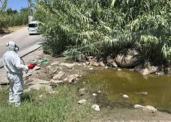 Mijas y Fuengirola refuerzan las fumigaciones tras detectarse el virus del Nilo occidental en mosquitos de la zona de Miramar