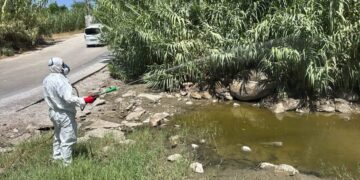 Mijas y Fuengirola refuerzan las fumigaciones tras detectarse el virus del Nilo occidental en mosquitos de la zona de Miramar