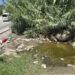 Mijas y Fuengirola refuerzan las fumigaciones tras detectarse el virus del Nilo occidental en mosquitos de la zona de Miramar