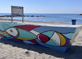 La web municipal para reservar espacios de moragas en Marbella  supera las 1.500 solicitudes en menos de dos meses