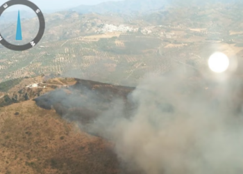 Estabilizado el incendio forestal declarado en el paraje Cerro del Águila de Colmenar (Málaga)