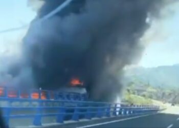 Arde un camión en la AP-7 por el Parque Botánico, donde se originó el reciente incendio forestal de Benahavís
