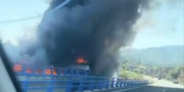 Arde un camión en la AP-7 por el Parque Botánico, donde se originó el reciente incendio forestal de Benahavís